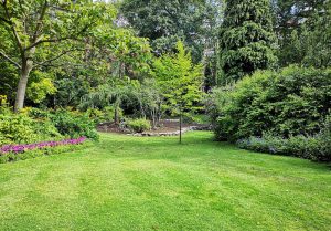 Optimiser l'expérience du jardin à Condé-sur-Vire